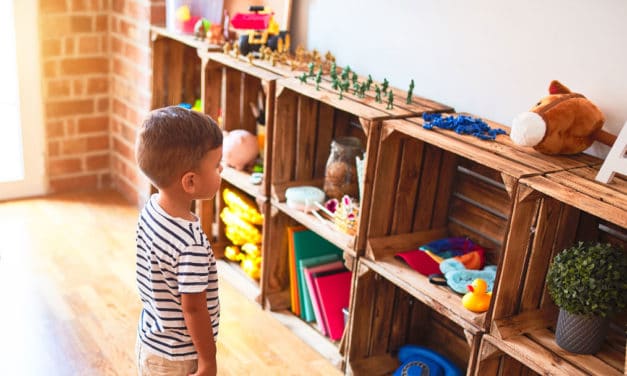 Toy Rotation: Reduce Toy Clutter in Six Easy Steps